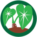 Pacific Innovations, Knowledge, and Opportunities logo of kalo or taro plant